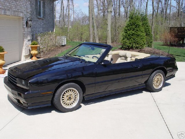 blackcapri14.jpg