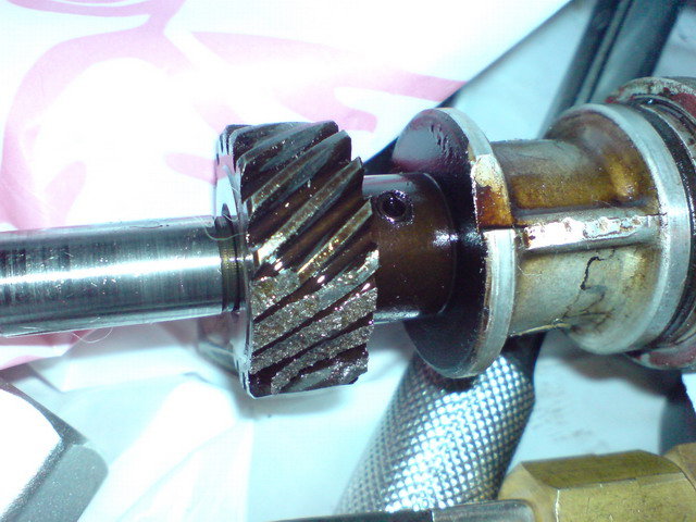 DSC00686_resize.JPG