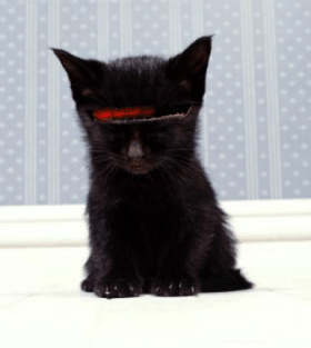 0000144213.gif