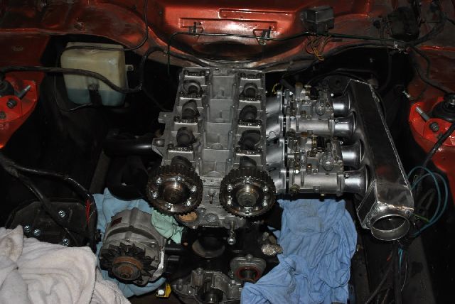 DSC_7372.JPG